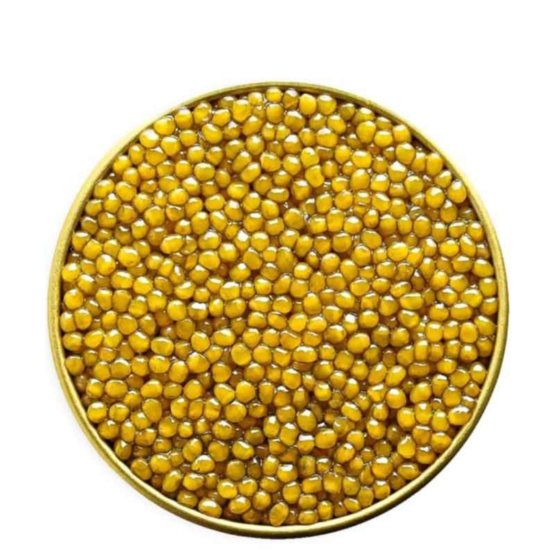 AF7D81F3-4887-4F4F-8B81-37C57EABC6B8