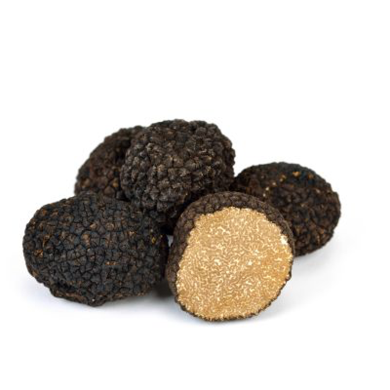 B82E0219-98E8-4AAE-911C-1D6EBBE57768